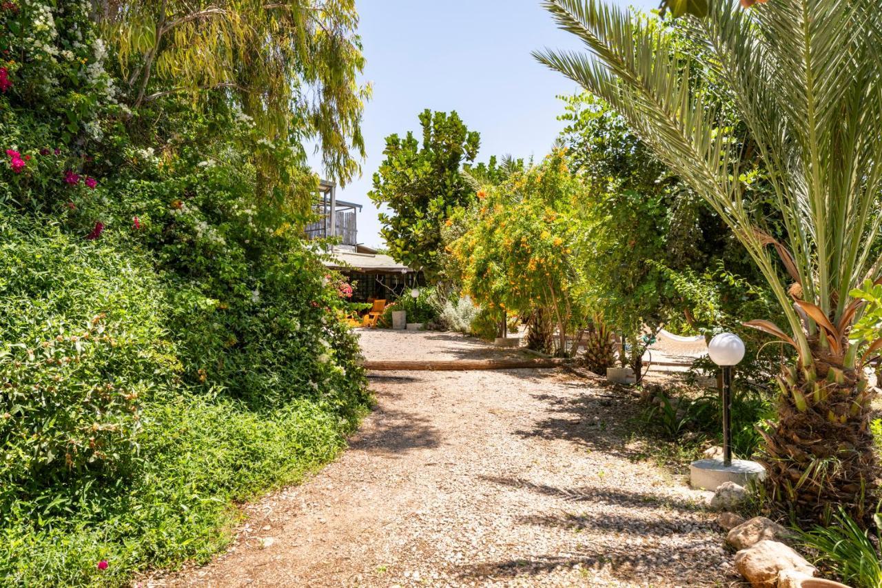 Tafat's Haven * Nurit