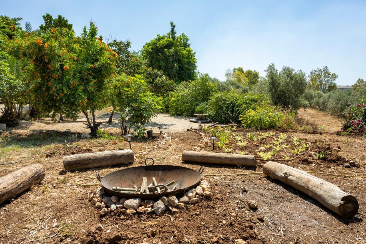 Tafat's Haven Nurit